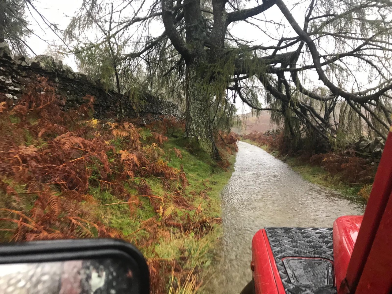 WhatsApp Image 2018 10 16 at 17.09.28 (2)